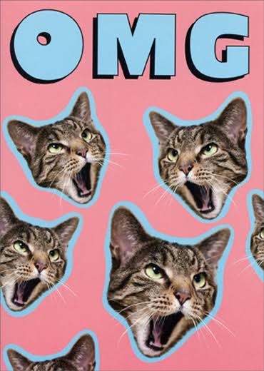 Avanti Press OMG Cat Pop Up Stand Out Funny Birthday Card | Avanti Press | Party Supplies | Best Price Guarantee | Free Shipping on All Orders