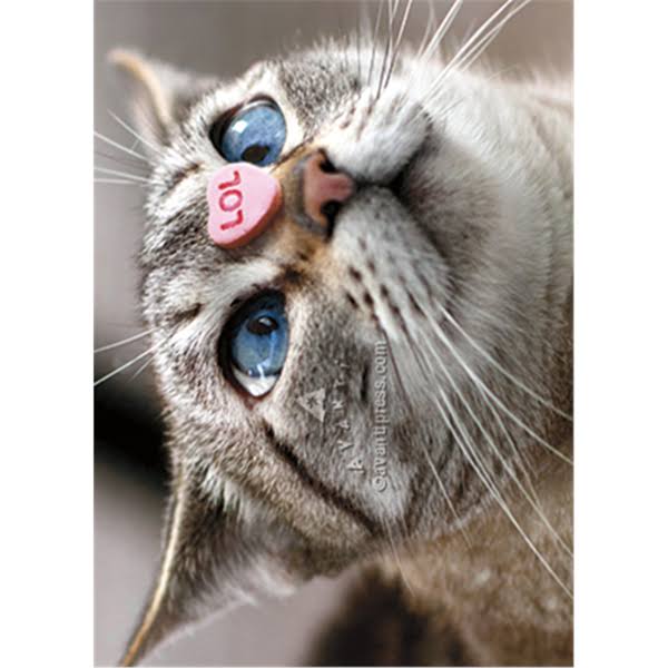 Avanti Press Cat Candy Heart Nose Card