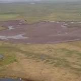 Arctic Lakes Are Vanishing Amid Rising Temperatures