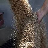 Soybeans close the day strong 