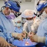 Doctors Transplant Beating Pig Hearts Into Dead Human Bodies