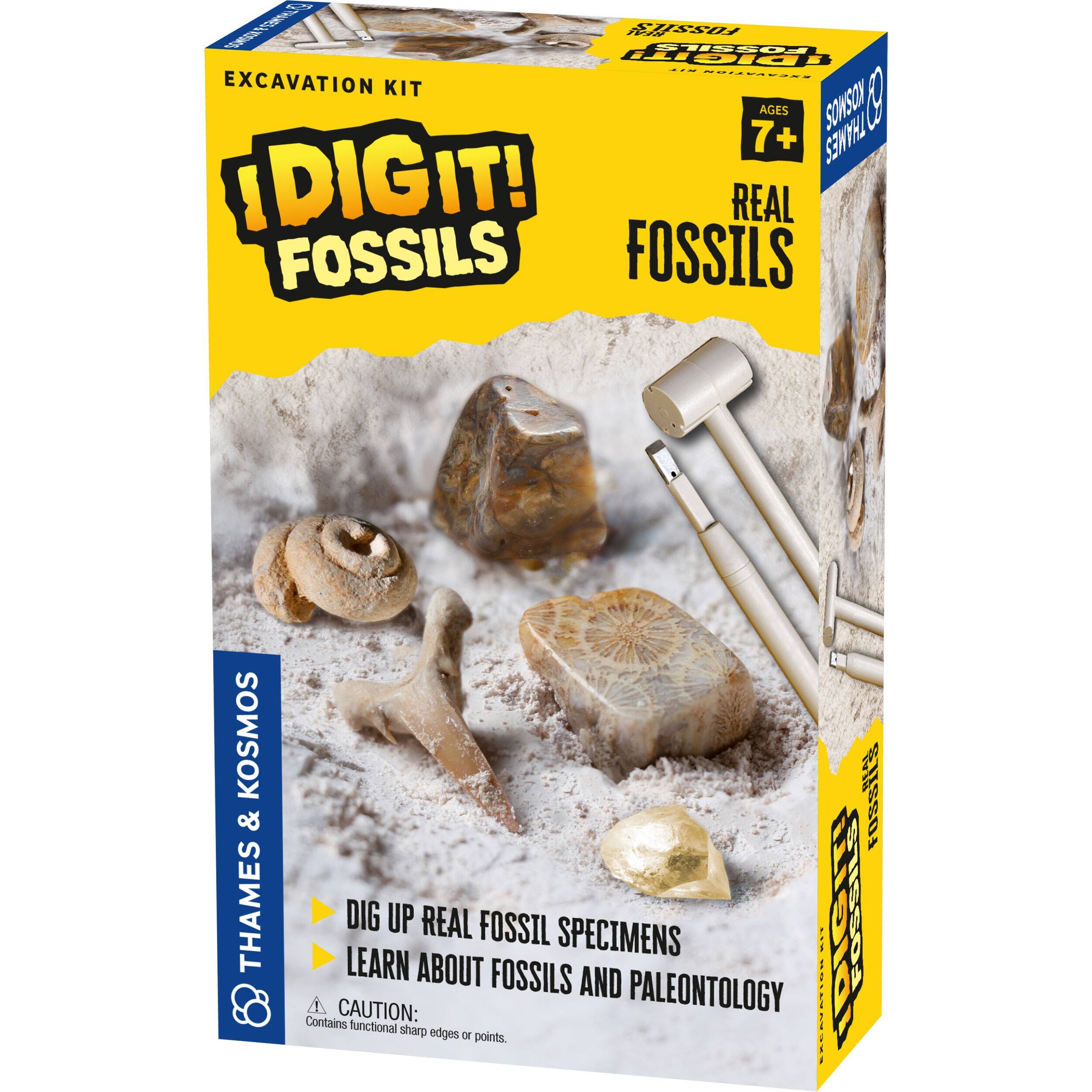 Thames & Kosmos 630461 I Dig It! Fossils - Real Fossils Excavation Kit