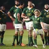 Springbok fever hits Nelspruit as hometown hero Faf returns: 'It means so much to them'