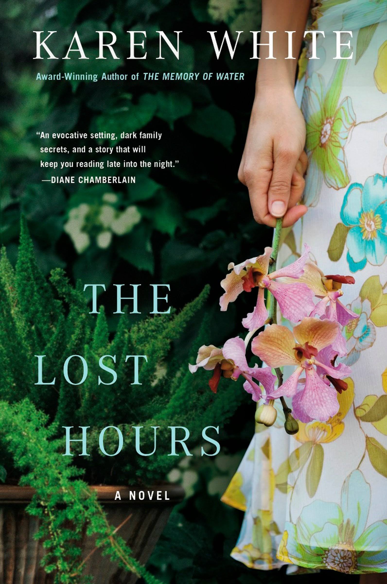 The Lost Hours [Book]