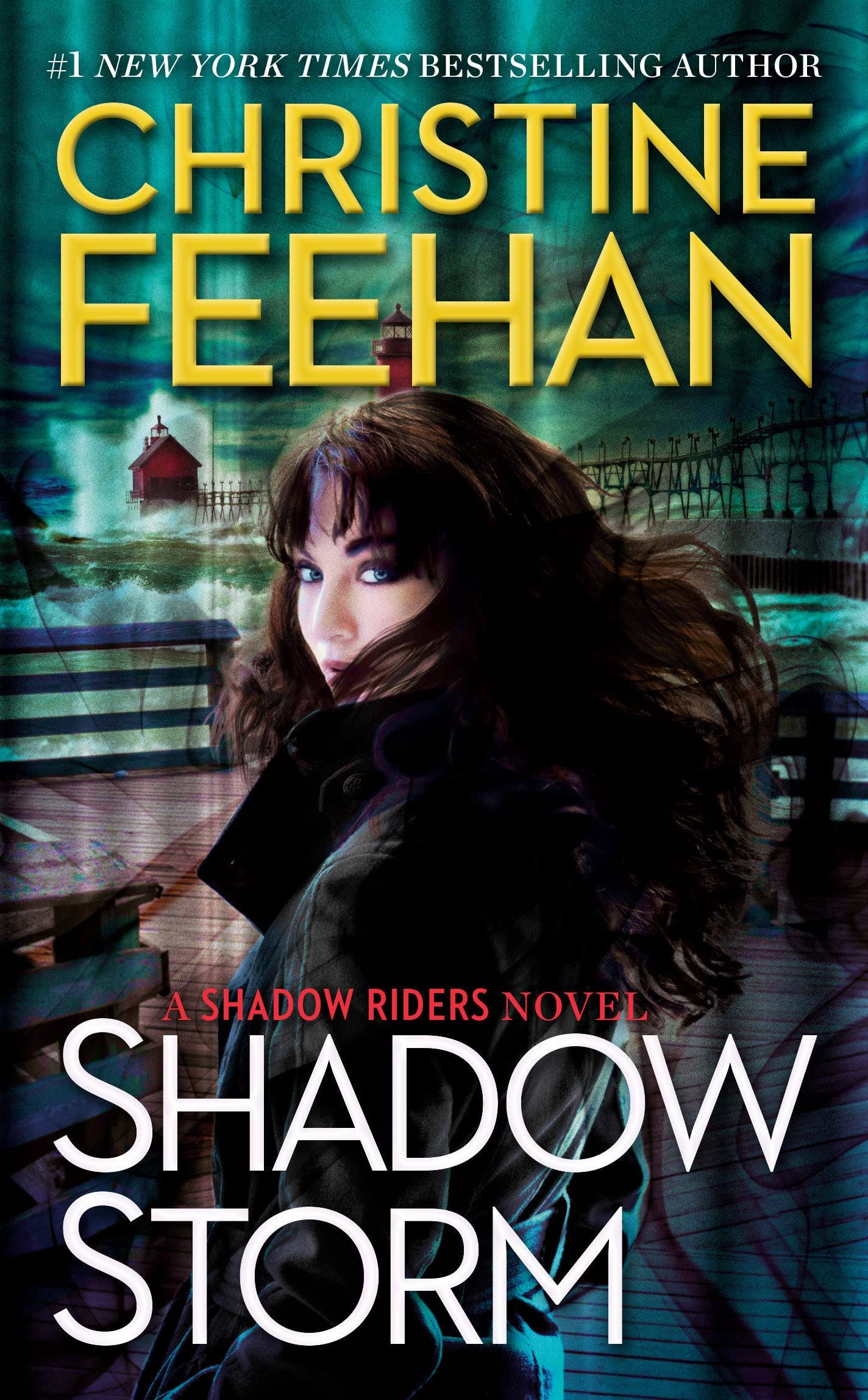 Shadow Storm [Book]