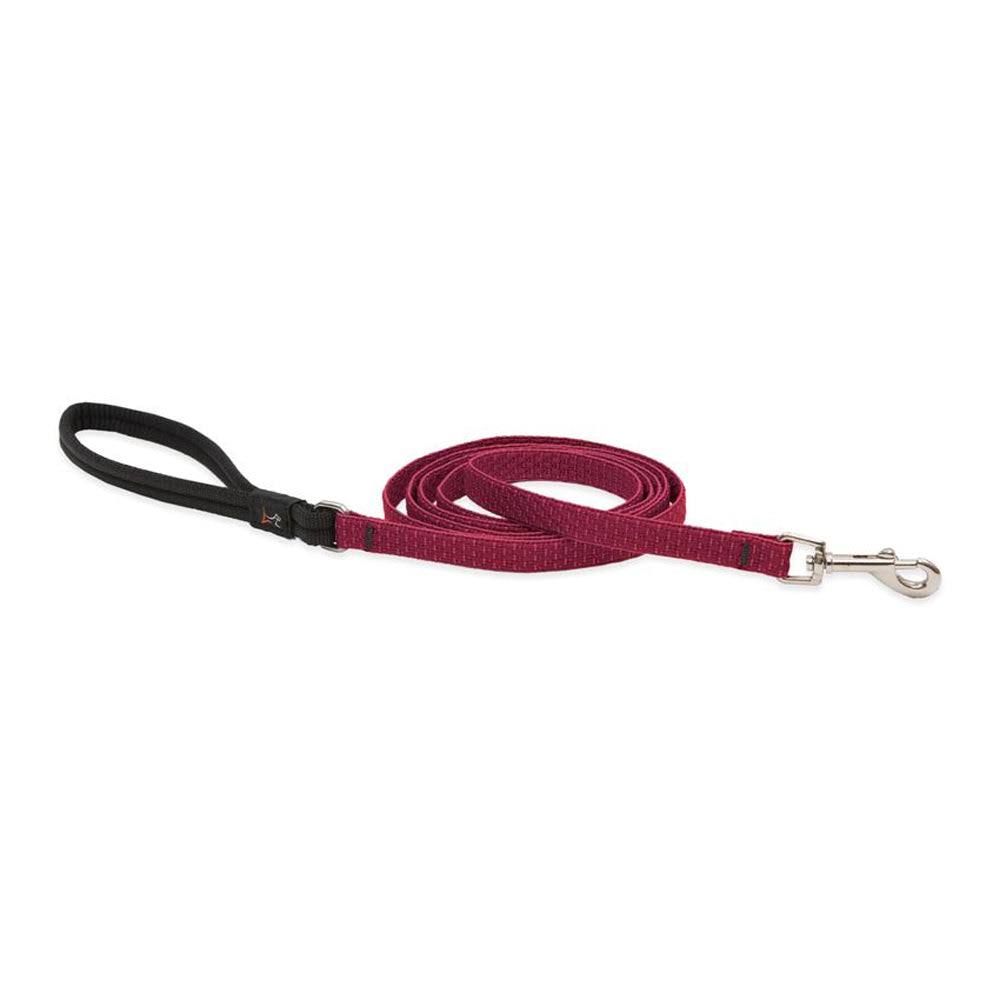 Lupine Inc 36909 3/4x6 Berry Dog Leash