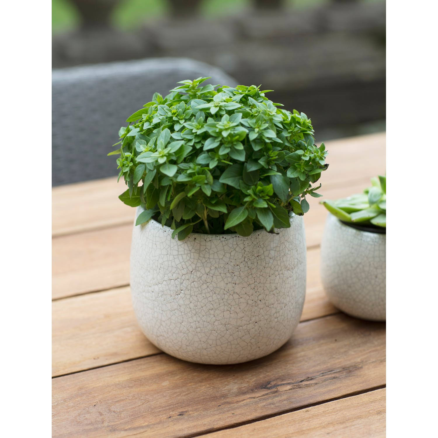 Garden Trading Ceramic Ravello Pot, Large