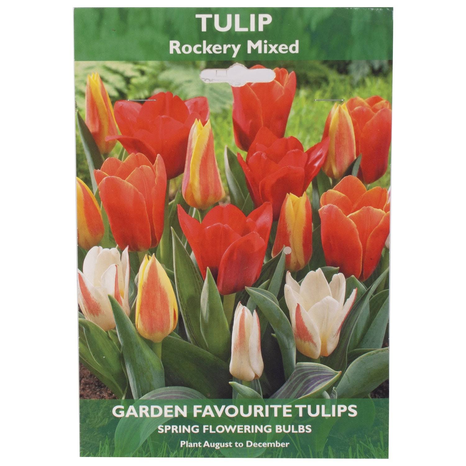 Garden Favourite Tulip Bulbs - Rockery Mixed (Kaufmanniana)