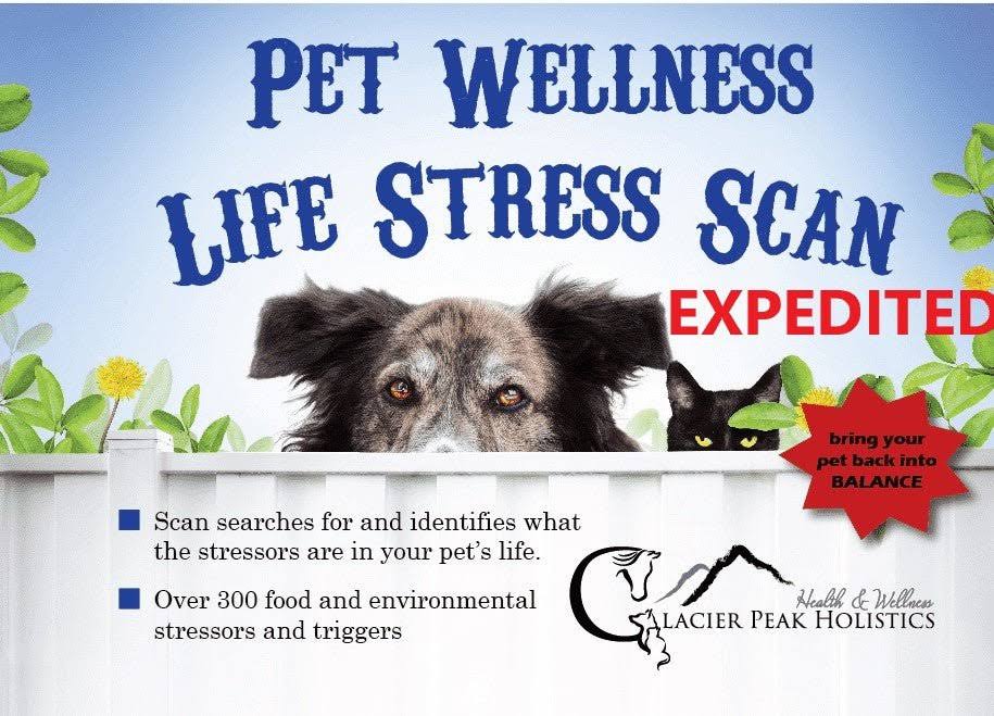 Glacier Peak Holistics 3724 Pet Wellness Life Stress Scan