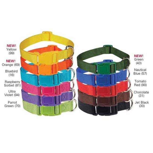 Zack and Zoey Puppy Quick Release Buckles Nylon Dog Collar - 11 Colors