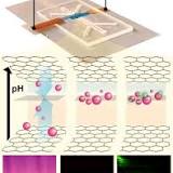 Researchers use graphene for same-time, same-position biomolecule isolation and sensing