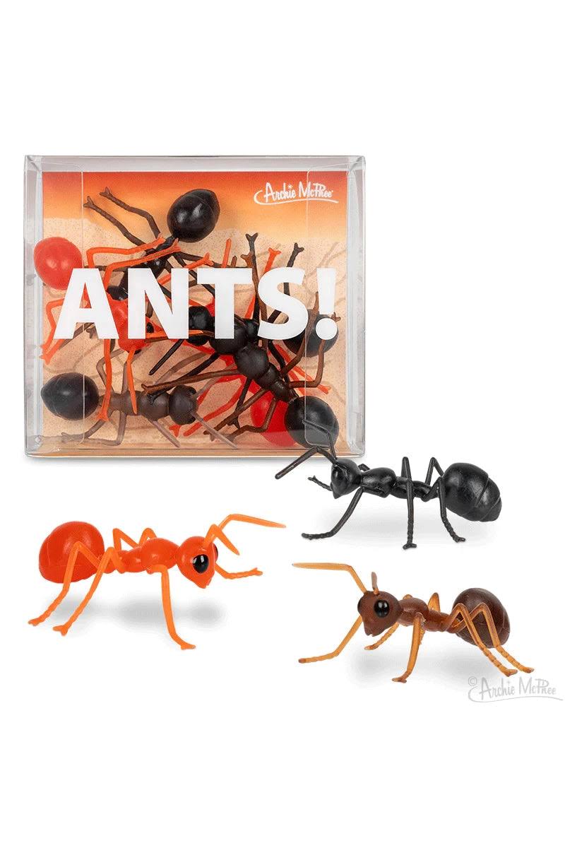 Archie McPhee Box of Giant Ants