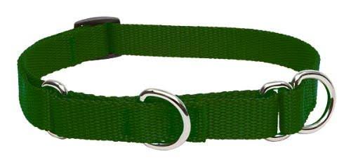 LupinePet Martingale Combo Collar Dog Leash - Small to Large Dogs, Green, 3/4"x14-20"