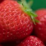 If You Bought Strawberries In North America, You Need To Know About This Hepatitis A Outbreak