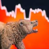 How to Stand Up to a Bear Market