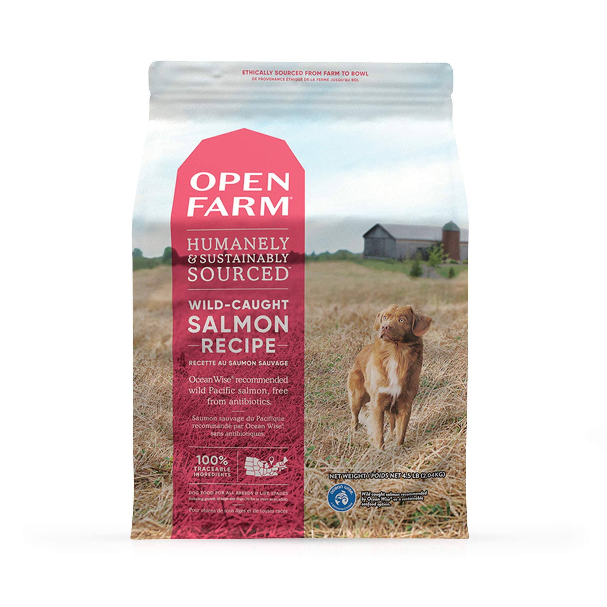 Wild-Caught Salmon Dry Dog Food | Open Farm