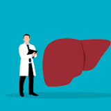 Scientists pinpoint how non-alcoholic fatty liver disease increases risk of vascular diseases