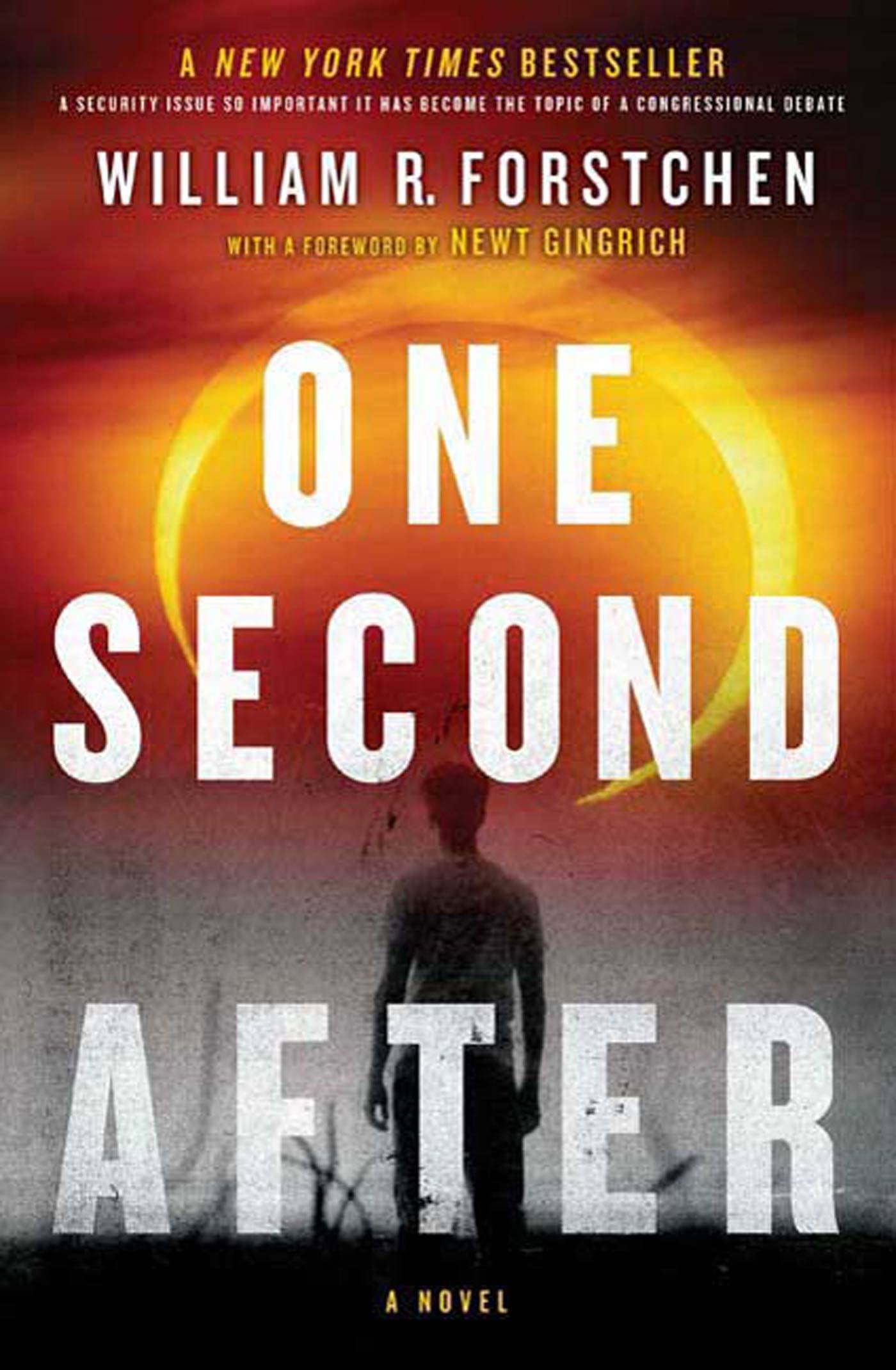 One Second After [Book]