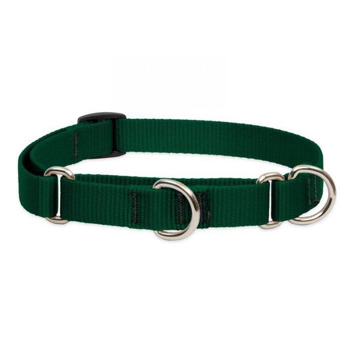NEW Lupine Combo Collar for Large Dogs - 22", Green