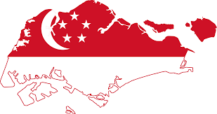 Image result for singapore flag
