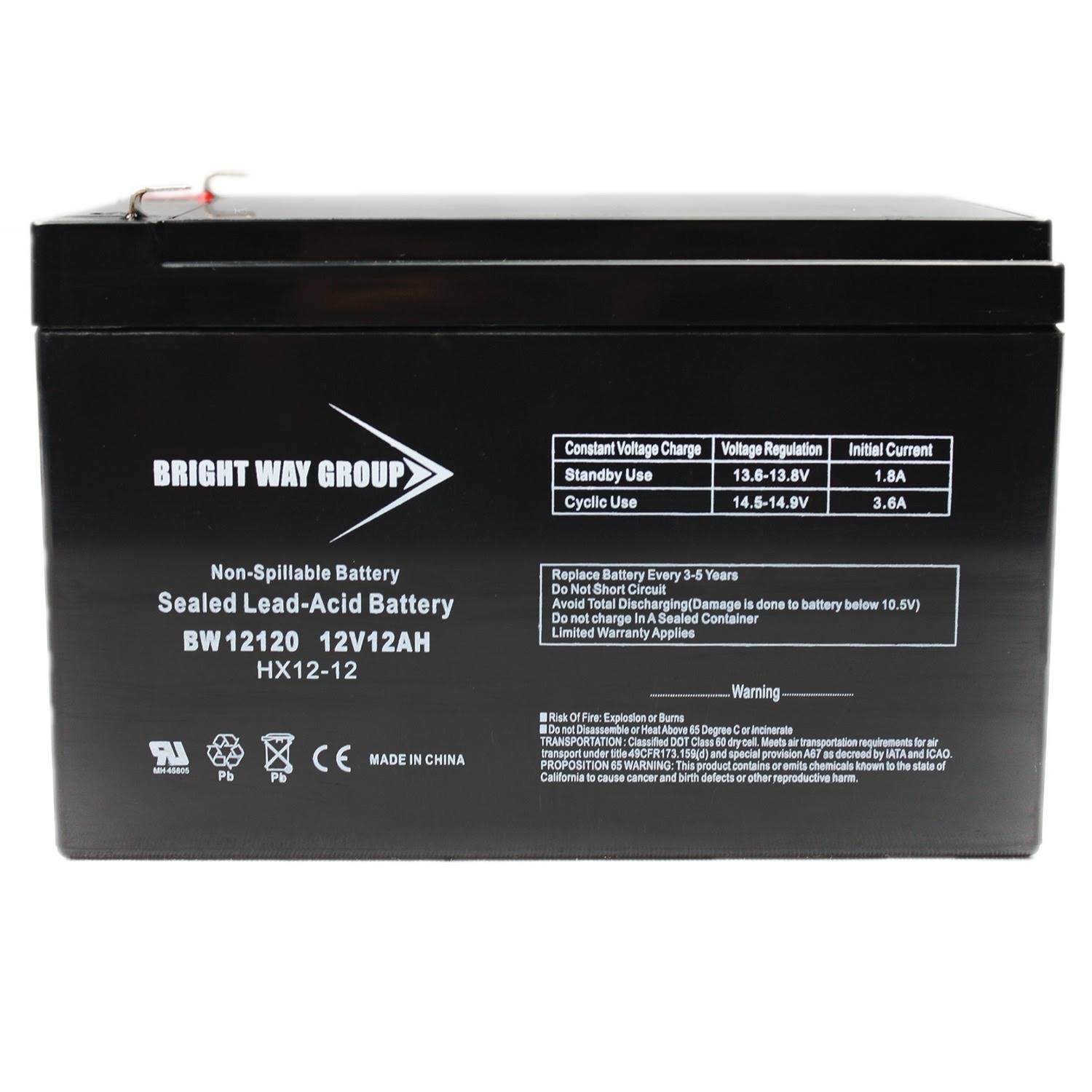 Bright Way Group BWG 12120 F1 Battery