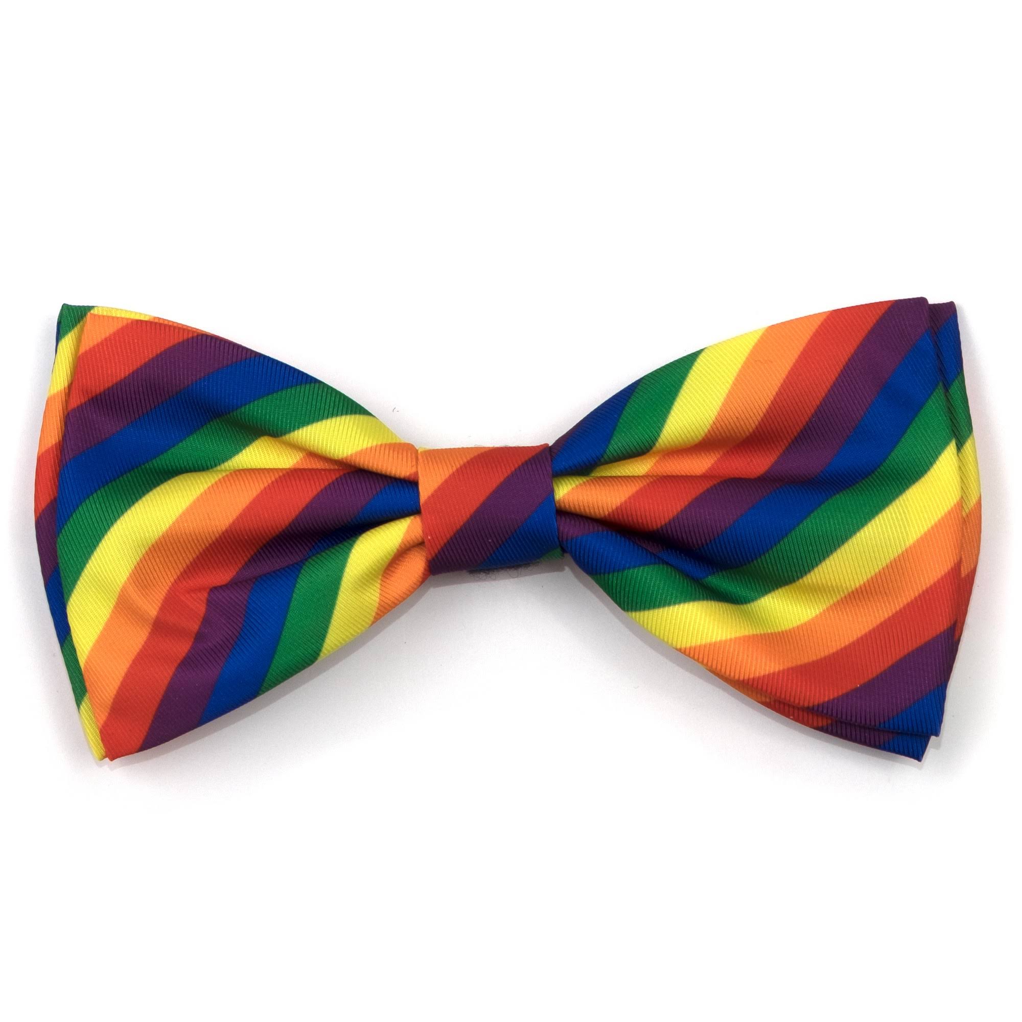 The Worthy Dog Rainbow Bow Tie