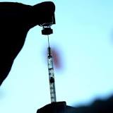 COVID-19 vaccines prevented 58% of deaths, study estimates