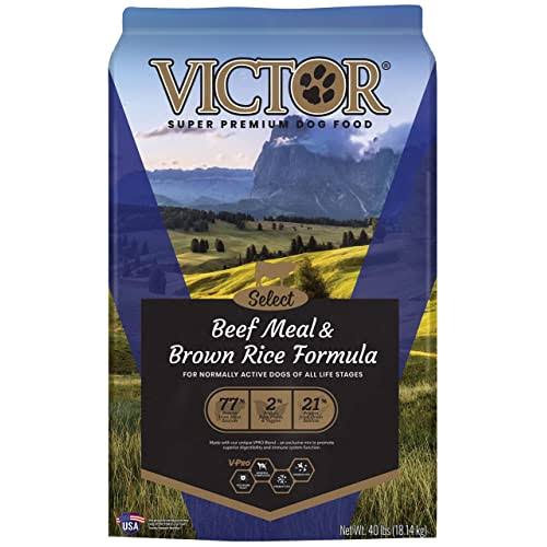 Victor Beef Meal and Brown Rice Dry Dog Food - 40lbs
