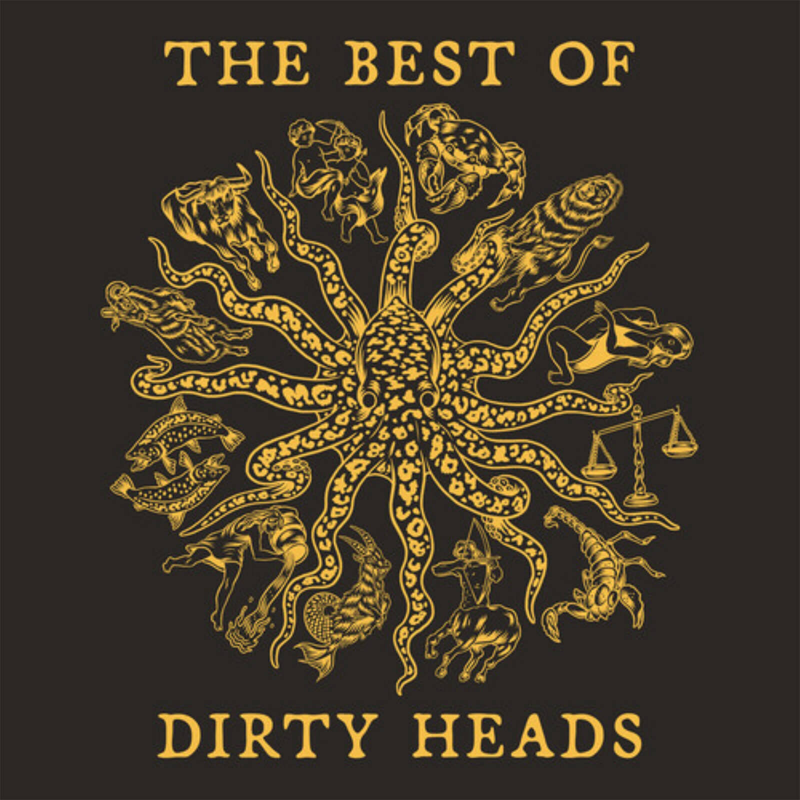 Best Of Dirty Heads Vinyl Record LP Album