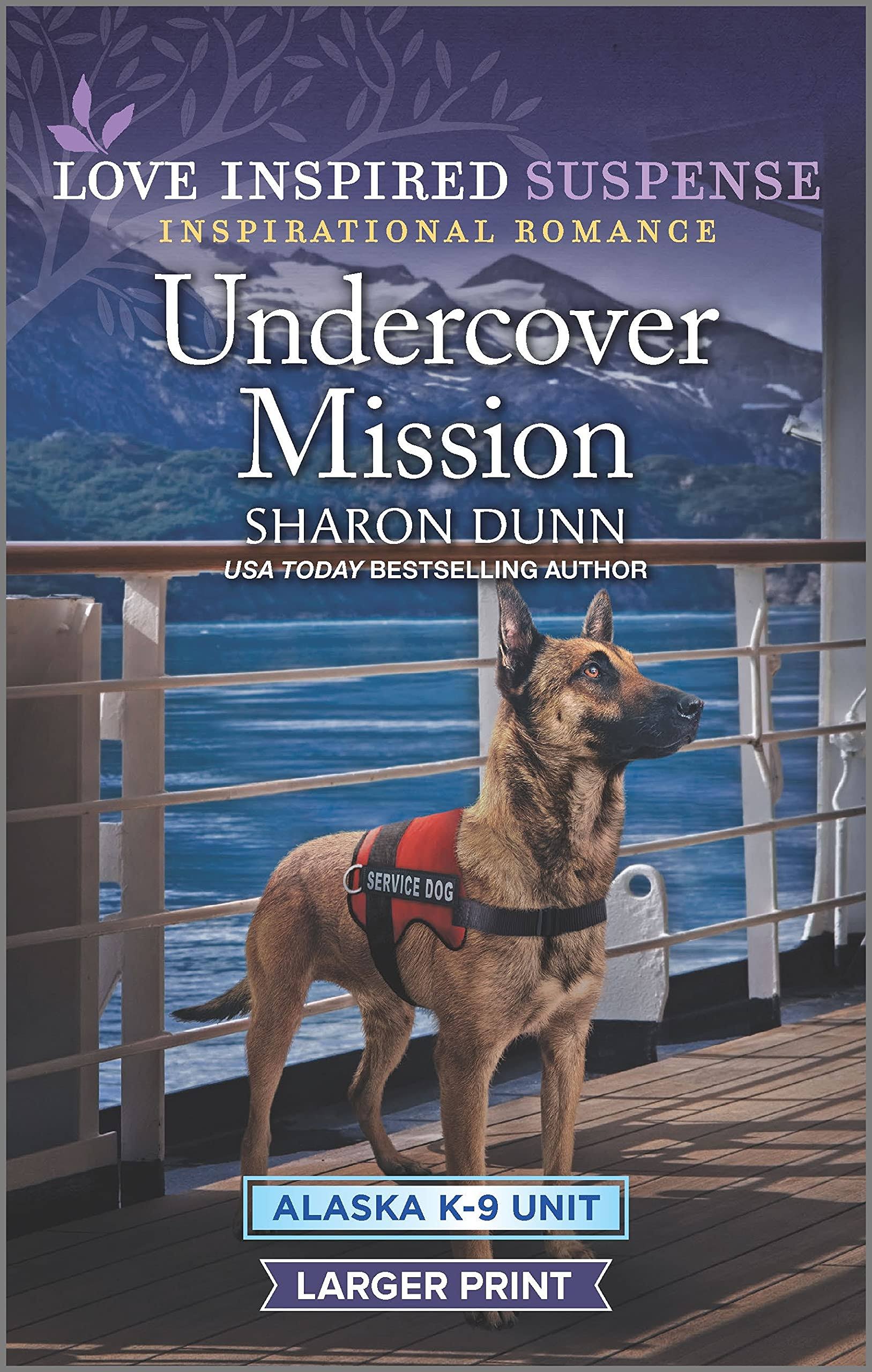 Undercover Mission [Book]