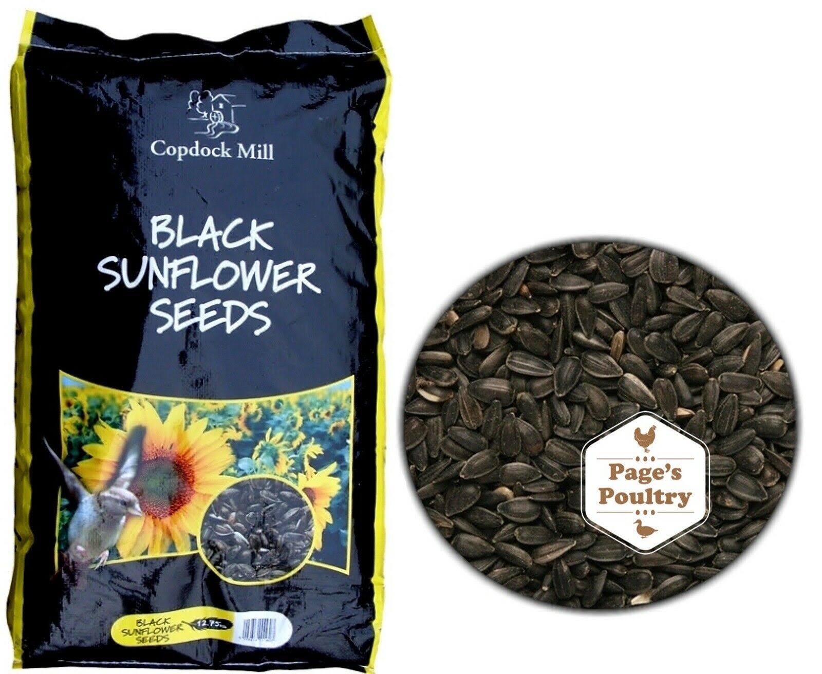 Copdock Mill Black Sunflower Seeds for Wild Birds 12.75kg | PetMonkey