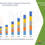 Canned Mushroom Market with Growing CAGR of 5.51% During Forecast Period 2028