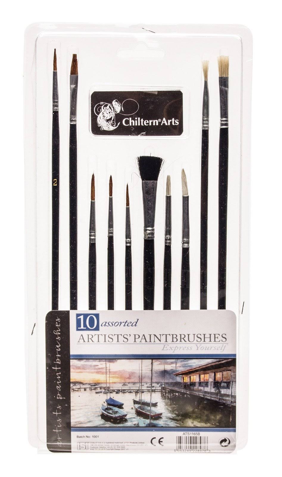 Pack 10 Artist Paint Brushes Set Small Large Thin Thick Kid Activity Home School