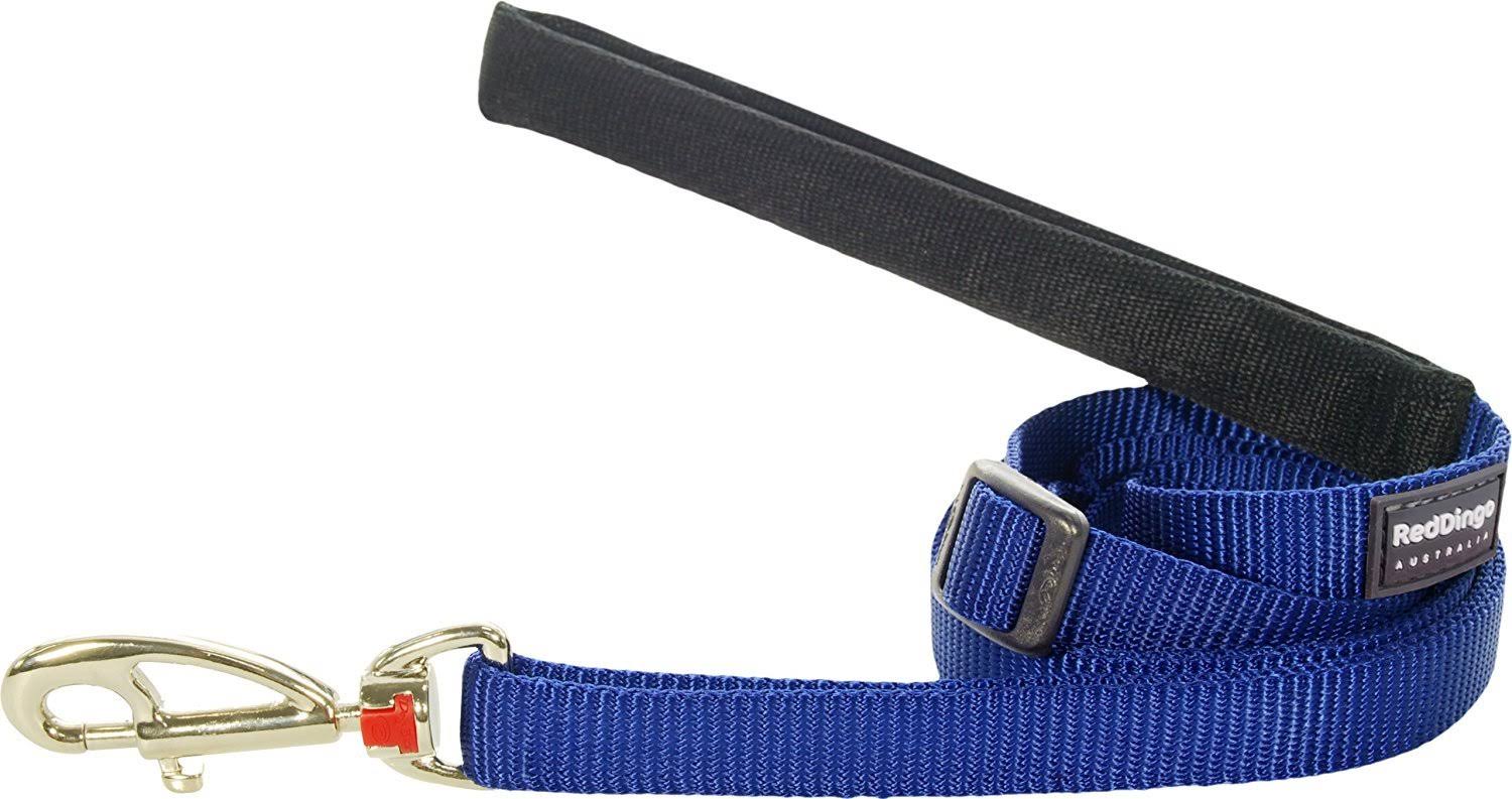 Red Dingo Dog Lead - 25mmx1.8m, Large, Classic Blue