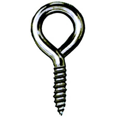 Hindley 10 Count .31in. X 6in. Stainless Steel Lag Eye Bolts Screw Thread 44358 - Pack of 10