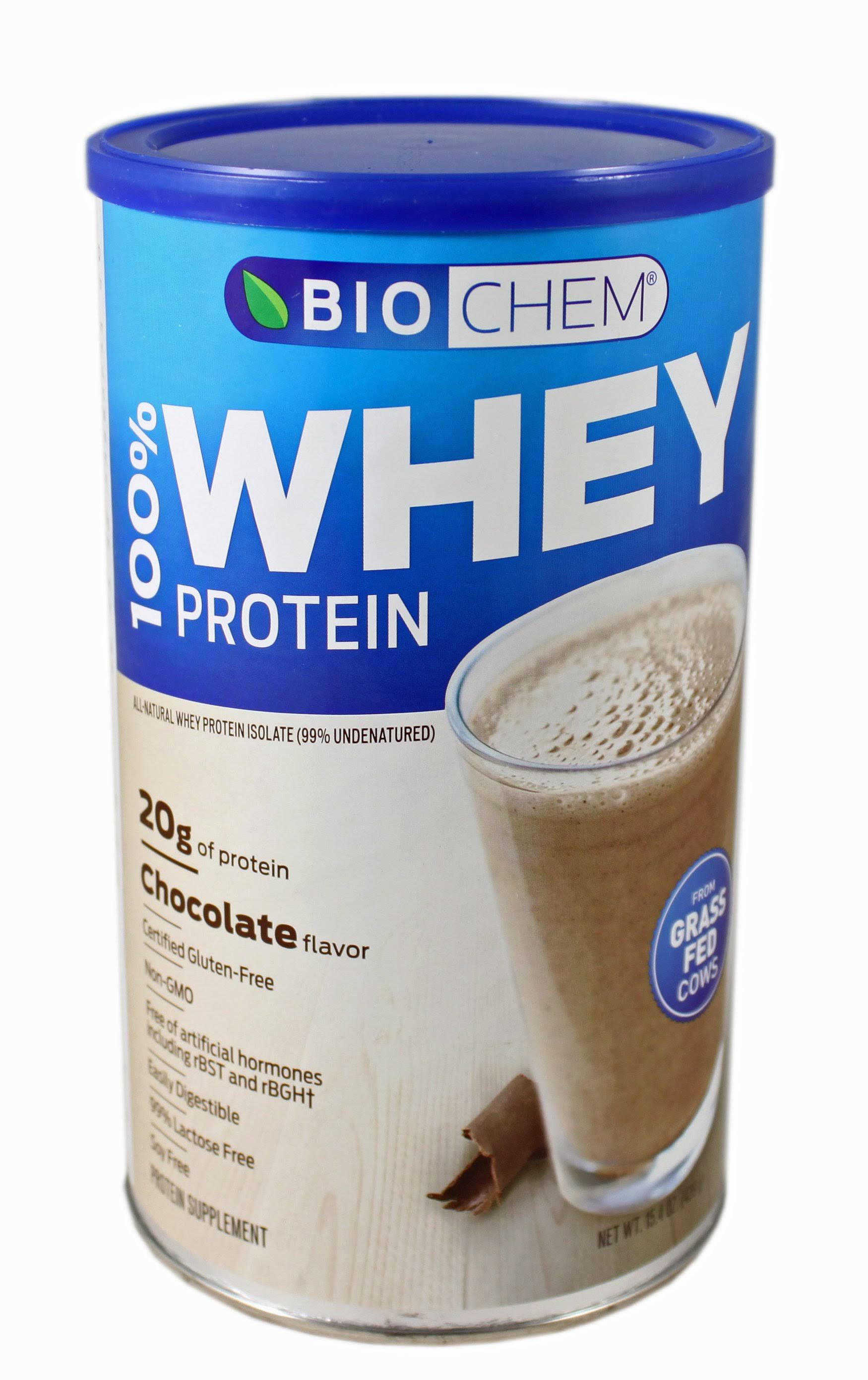 Biochem 100% Whey Protein Powder - Chocolate Fudge, 440g