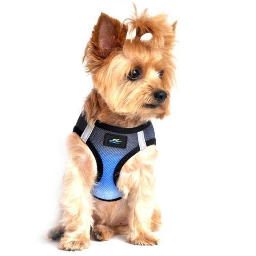 American River (No Choke) Dog Harness Ombre Collection - Midnight Sky