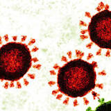 What the current spike in Covid-19 cases could say about the coronavirus' future