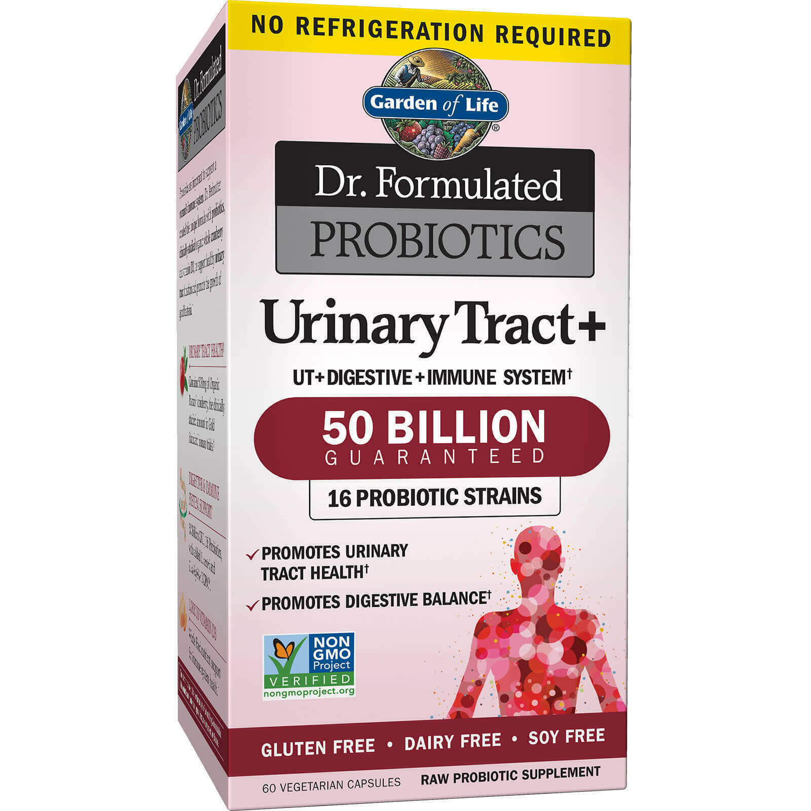 Garden of Life Dr. Formulated Probiotics Urinary Tract Plus Supplement - 60ct