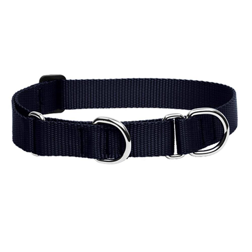 LupinePet 3/4 Inch Martingale Combo Collar - Black