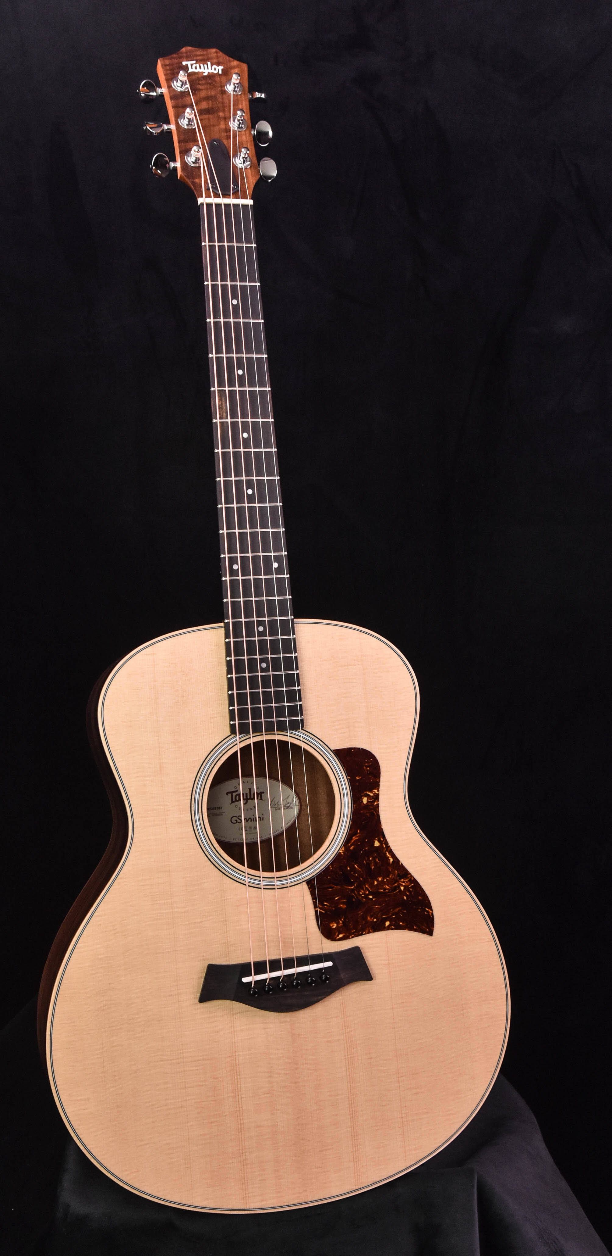 Taylor GS Mini-e Acoustic Guitar - Rosewood