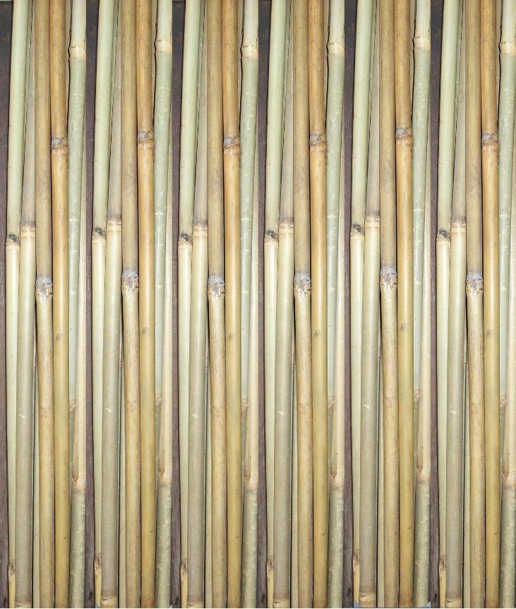 SupaGarden Natural Garden Plant Bamboo Canes Support Canes - 0.6m | Lawn & Garden | Best Price Guarantee | Delivery Guaranteed