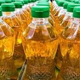 Unilever spearheads $120m programme to scale bio-based fossil fuel and palm oil alternatives