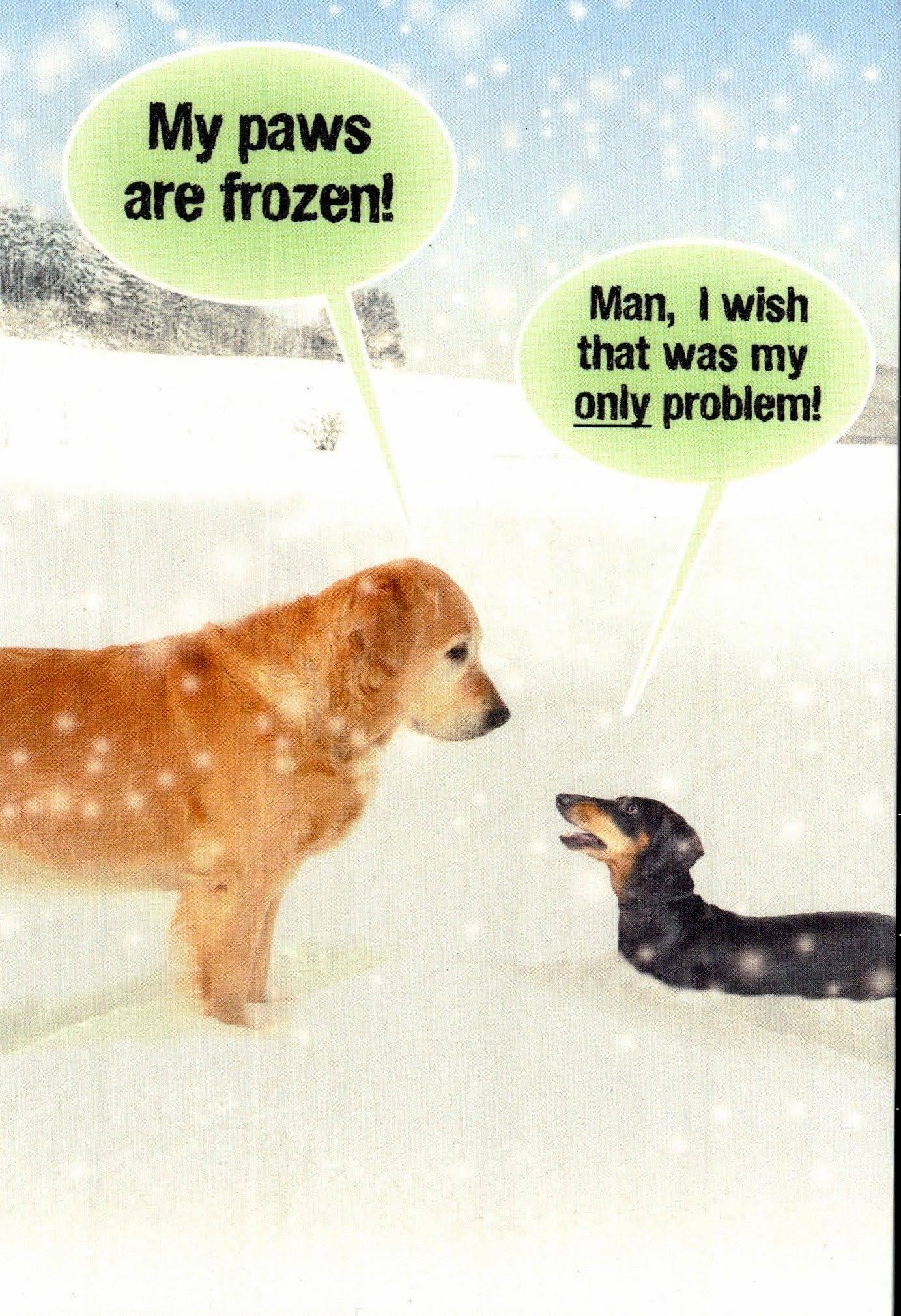Dogs in Snow Christmas Card