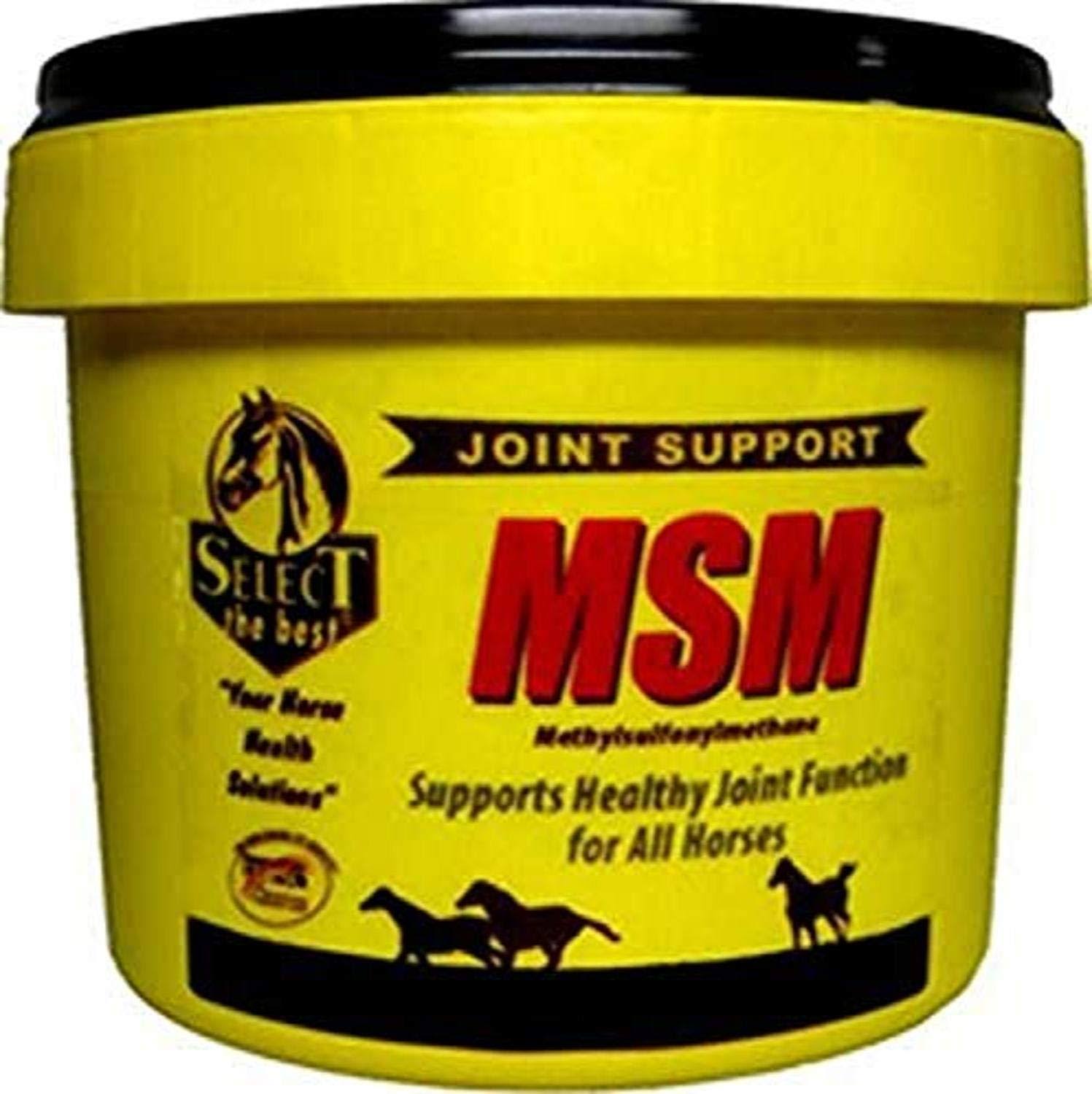 Richdel MSM Powder Joint Support for Horses Pet Hip Supplement - 10lbs