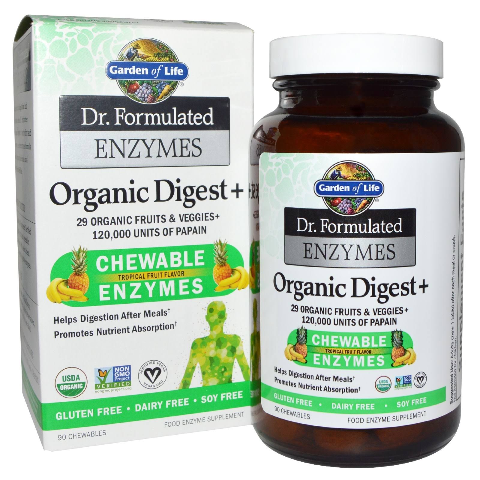 Garden of Life Dr. Formulated Enzymes Organic Digest Plus Supplement - 90 Count, Chewable