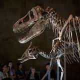 Most Dinosaurs Were Warm-Blooded After All
