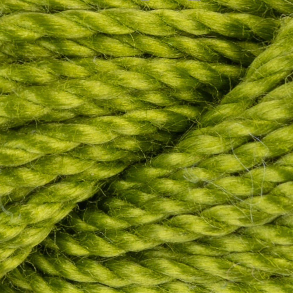 DMC Pearl Cotton Skein Size 5 27.3yd-Moss Green