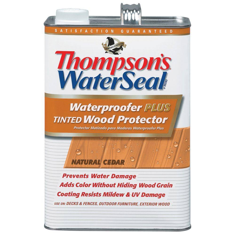 Thompson's WaterSeal Waterproofer & Wood Protector - 1gal