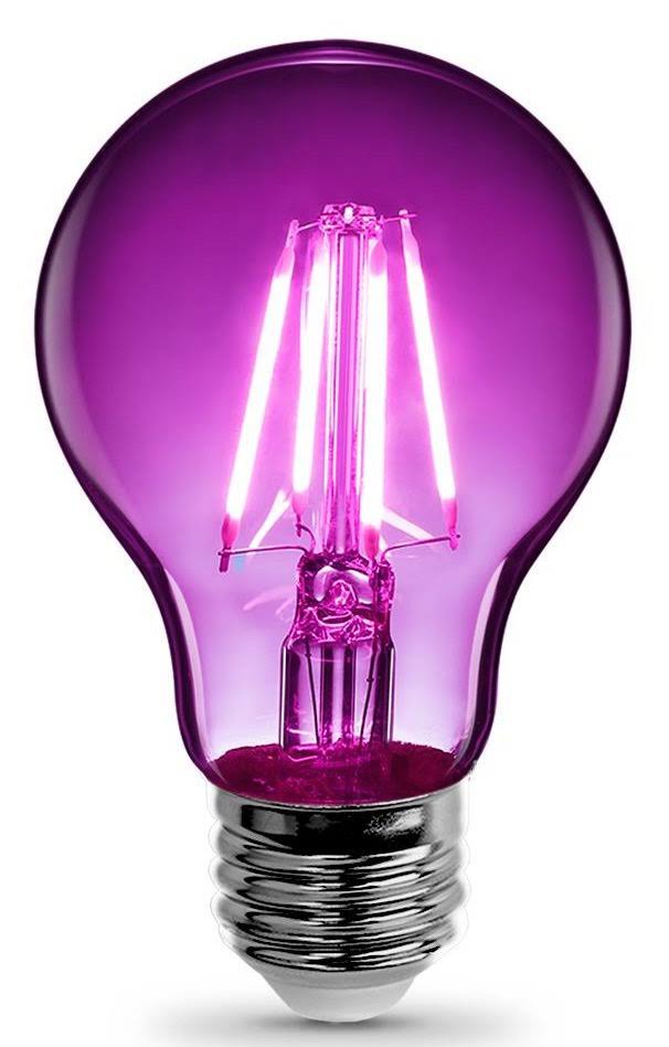 Feit Electric A19 Filament LED Bulb - Purple, 3.6W
